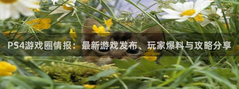 高德娱乐登陆地址