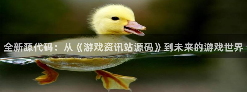 高德娱乐平台官网登录：全新源代码：从《游戏资讯站源码》到未来