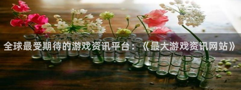 高德娱乐平台注册资金多少：全球最受期待的游戏资讯平台：《最大
