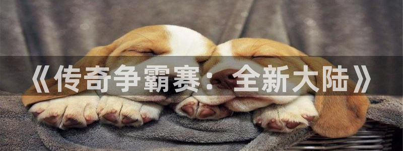 手机版高德娱乐客户端下载：《传奇争霸赛：全新大陆》