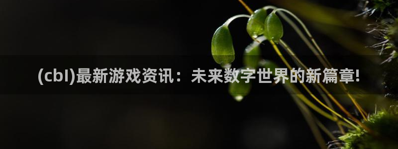 高德娱乐官方平台：(cbI)最新游戏资讯：未来数字世界的新篇